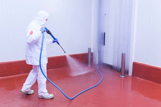 Best Machinery and Equipment Cleaning  in Fern Park, FL