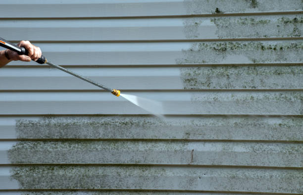Best Patio and Deck Pressure Washing  in Fern Park, FL